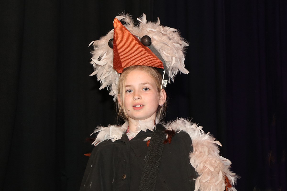 De Club van Lelijke Kinderen