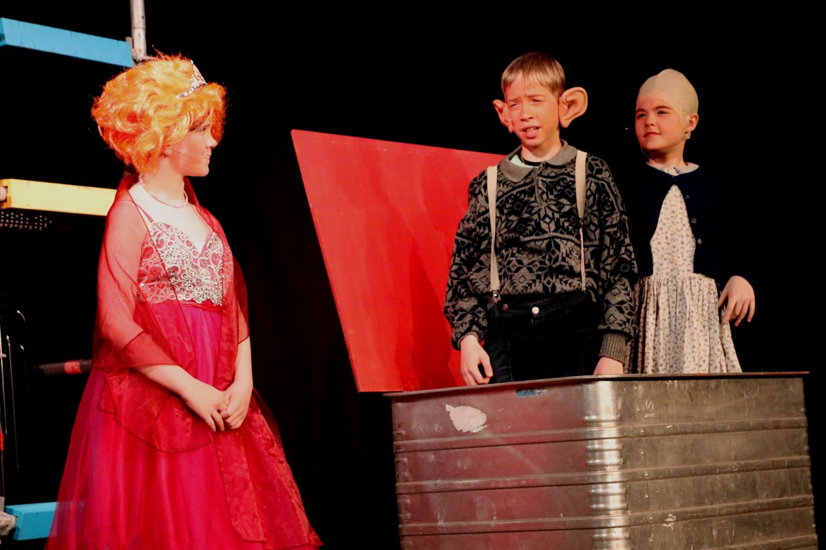 De Club van Lelijke Kinderen